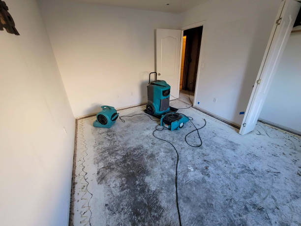 Best Water damage restoration near me  in Riverside, IA