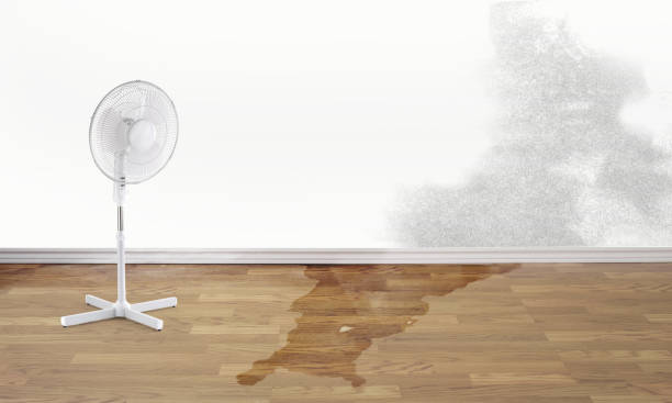Best 24/7 water damage repair  in Riverside, IA