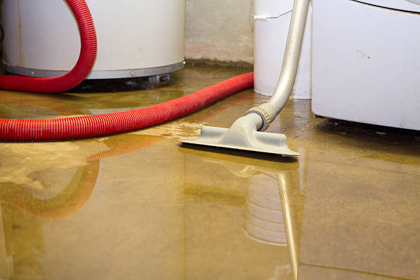 Best Ceiling water damage repair  in Riverside, IA